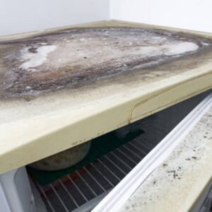 ac unit-mold
